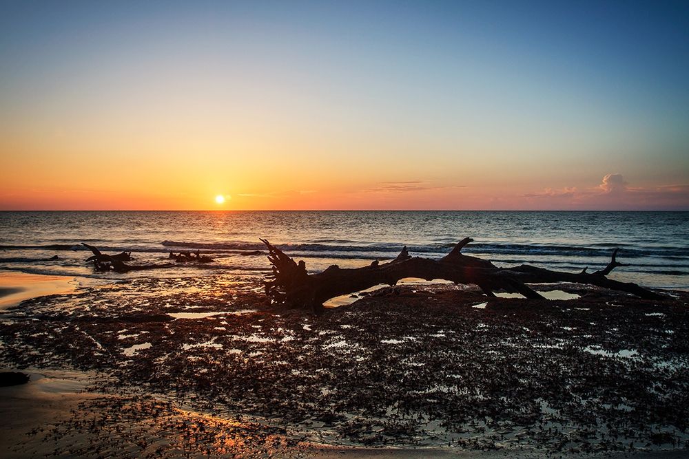 Jekyll Island Sunrise IV art print by Alan Hausenflock for $57.95 CAD
