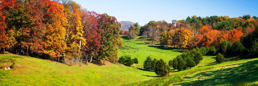 Rolling Autumn Hills I art print by Alan Hausenflock for $57.95 CAD
