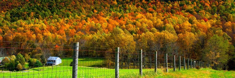Autumn Splendor I art print by Alan Hausenflock for $57.95 CAD