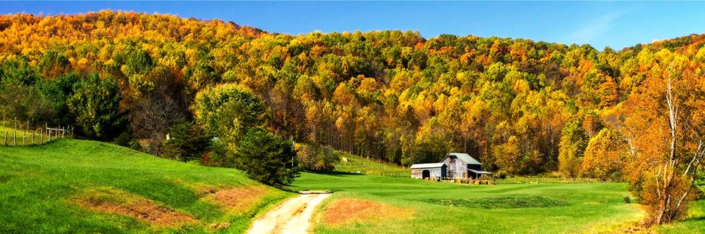 Rolling Autumn Hills II art print by Alan Hausenflock for $57.95 CAD