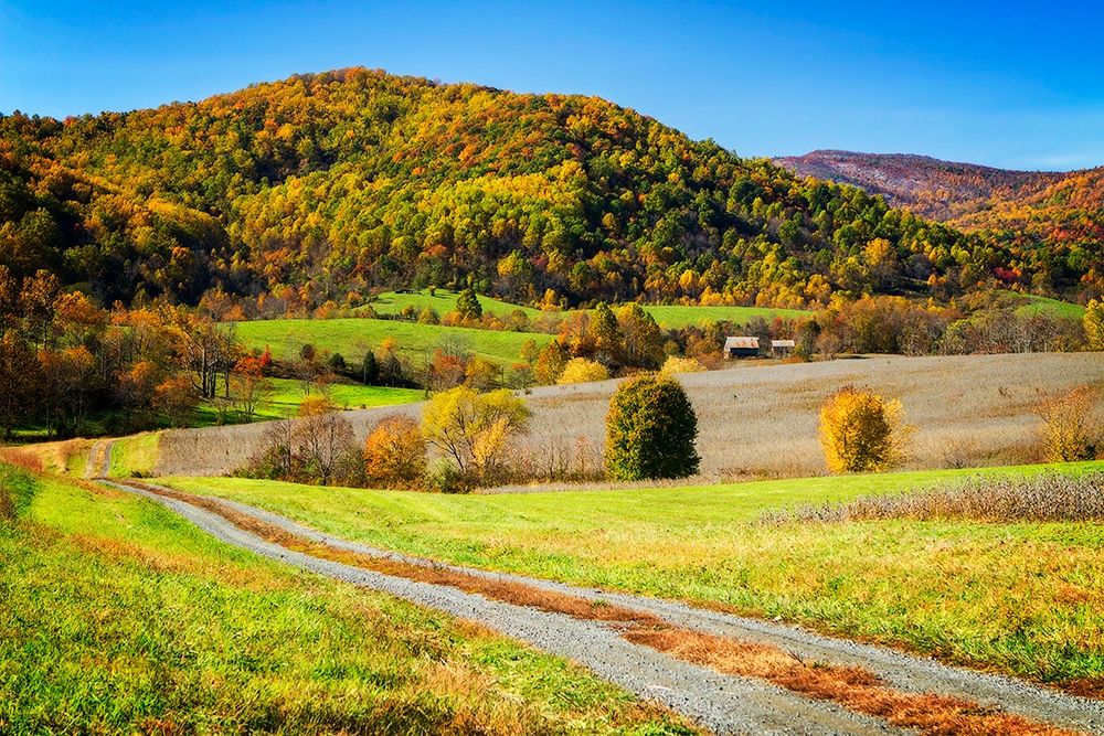Autumn Hills Farm art print by Alan Hausenflock for $57.95 CAD