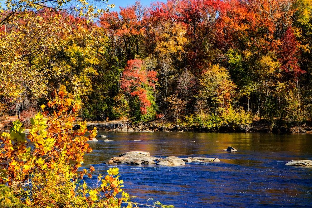 Autumn by the River I art print by Alan Hausenflock for $57.95 CAD