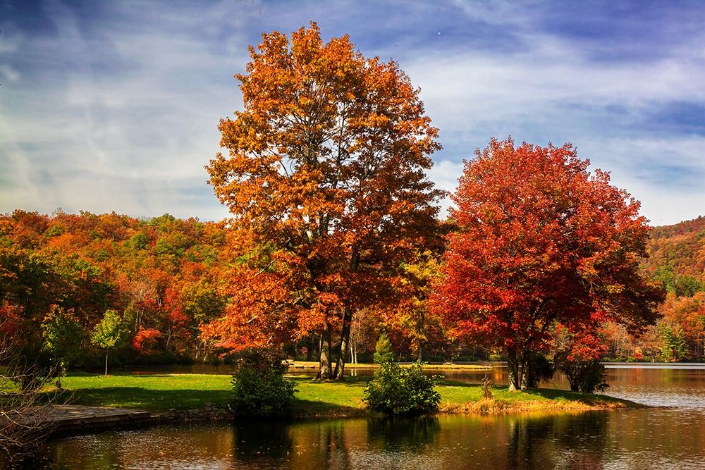 Autumn by the River II art print by Alan Hausenflock for $57.95 CAD