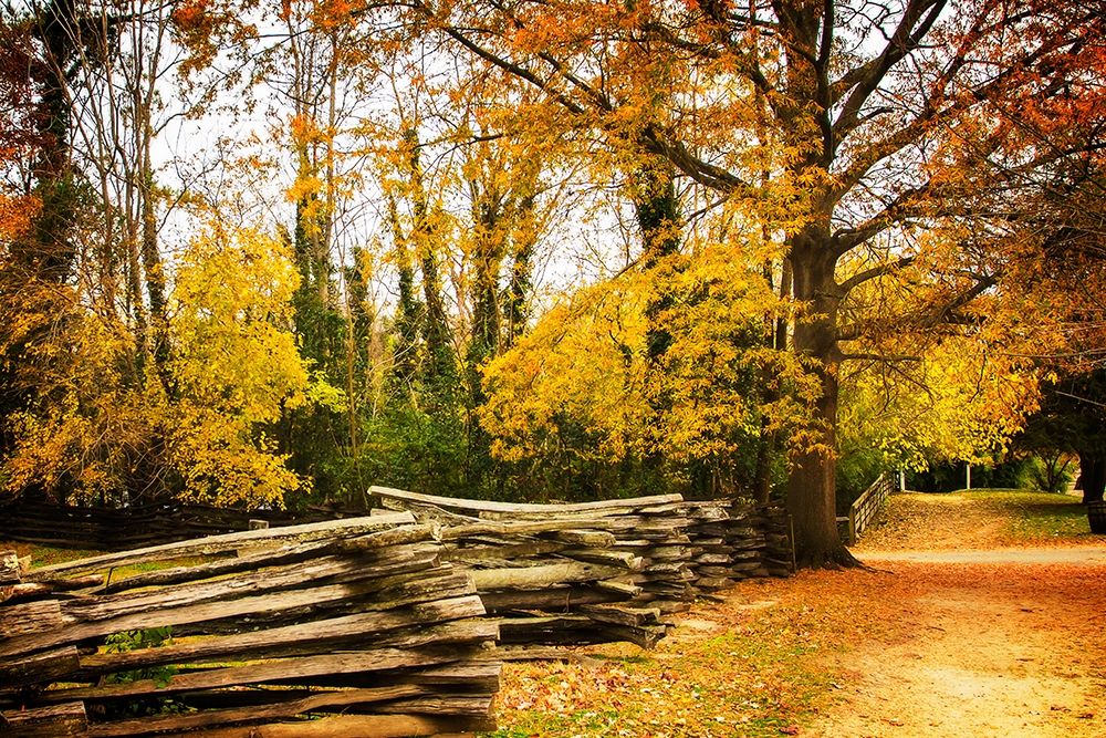 Late Fall Day I art print by Alan Hausenflock for $57.95 CAD