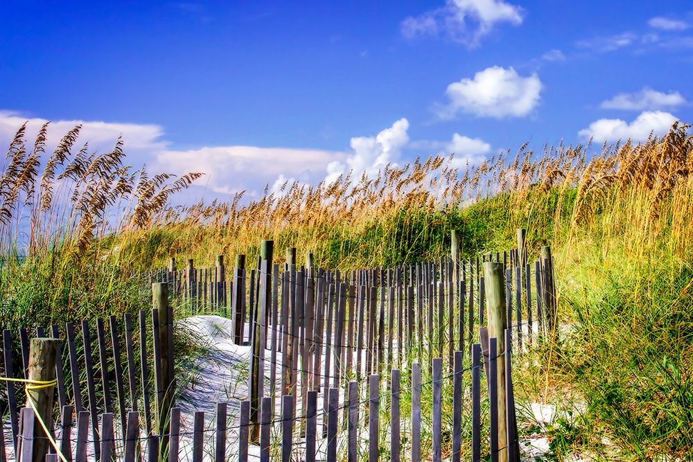 Summer at the Beach II art print by Alan Hausenflock for $57.95 CAD