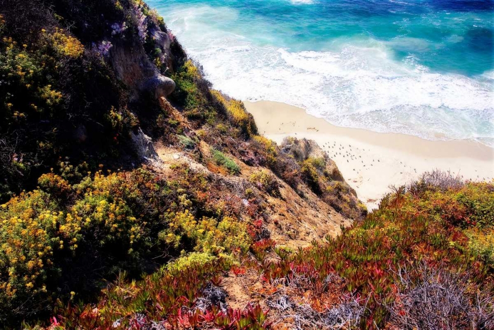 Garrapata Highlands I art print by Alan Hausenflock for $57.95 CAD