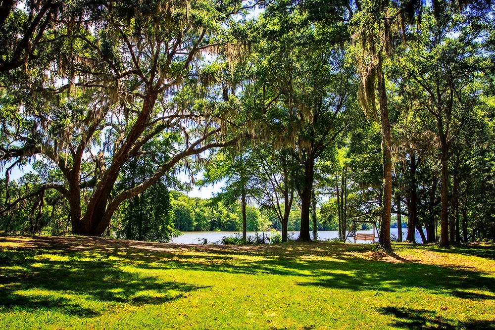 Beside the Ashley River art print by Alan Hausenflock for $57.95 CAD