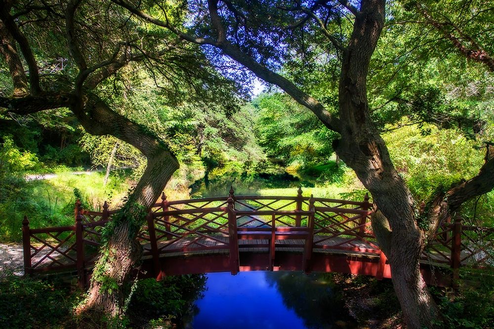 Bridge over Quiet Water art print by Alan Hausenflock for $57.95 CAD