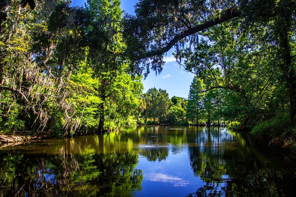 Draytons Pond art print by Alan Hausenflock for $57.95 CAD