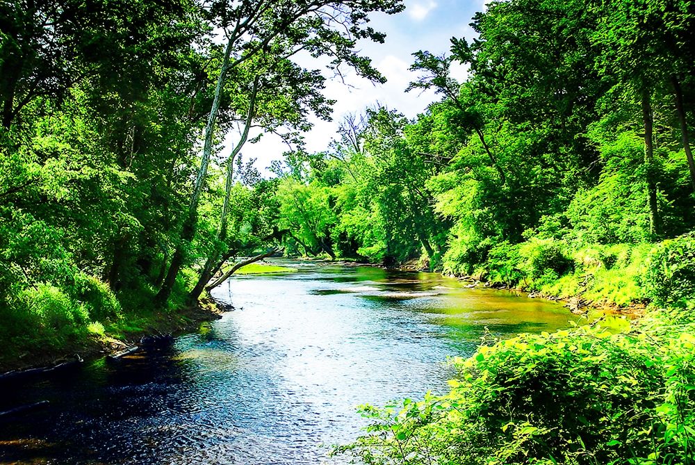 Summer Day on the Neuse River art print by Alan Hausenflock for $57.95 CAD