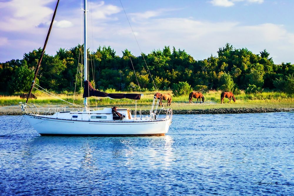 Horses on Carrot Island art print by Alan Hausenflock for $57.95 CAD