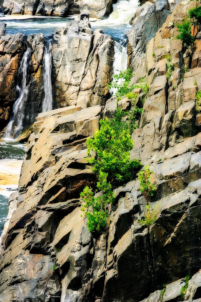 Cascading Water I art print by Alan Hausenflock for $57.95 CAD