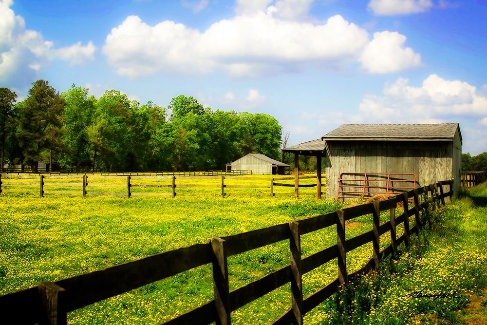 Spring on the Ranch art print by Alan Hausenflock for $57.95 CAD