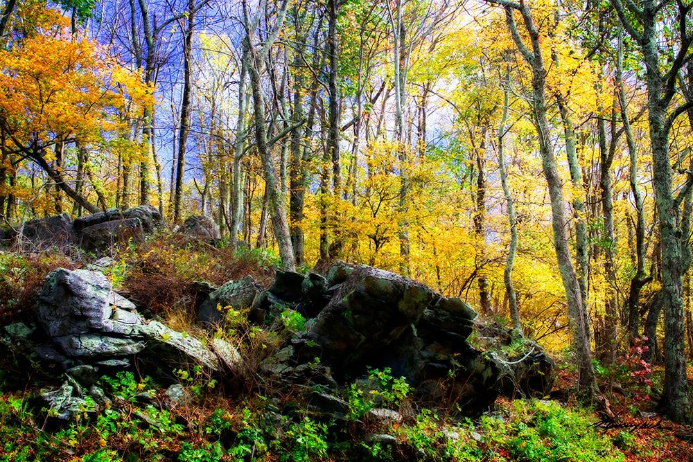 Turning Seasons art print by Alan Hausenflock for $57.95 CAD