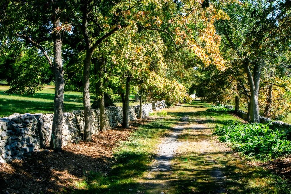 Late Afternoon art print by Alan Hausenflock for $57.95 CAD