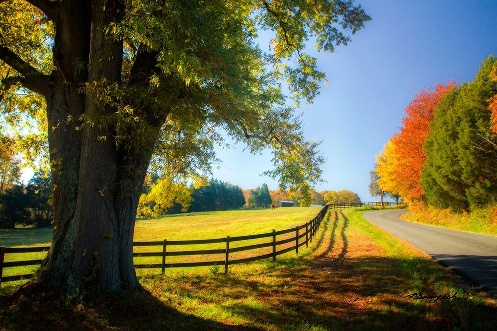 A Virginia Byway art print by Alan Hausenflock for $57.95 CAD