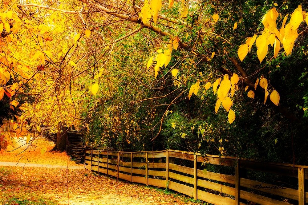 Autumns End art print by Alan Hausenflock for $57.95 CAD