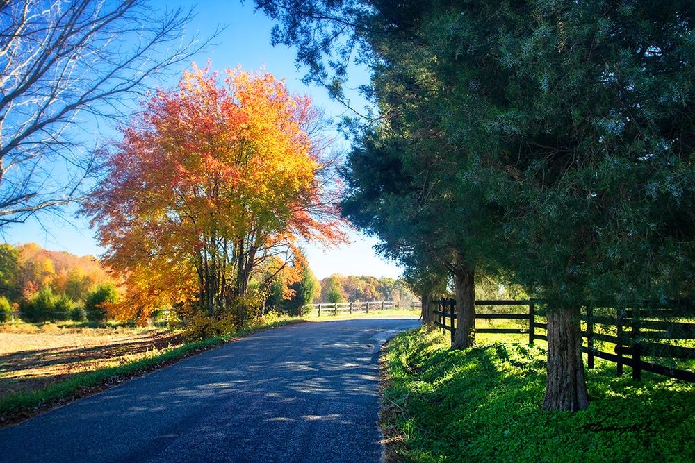The Road Home II art print by Alan Hausenflock for $57.95 CAD