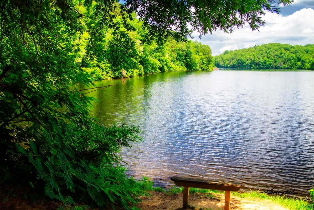 Holiday Lake art print by Alan Hausenflock for $57.95 CAD