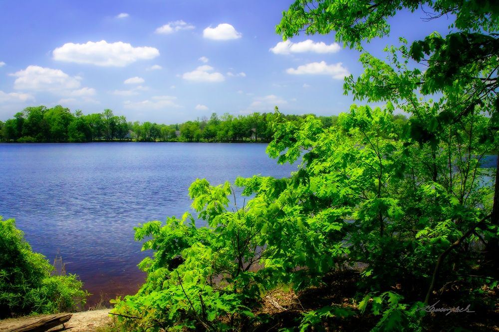 Swift Creek Lake art print by Alan Hausenflock for $57.95 CAD