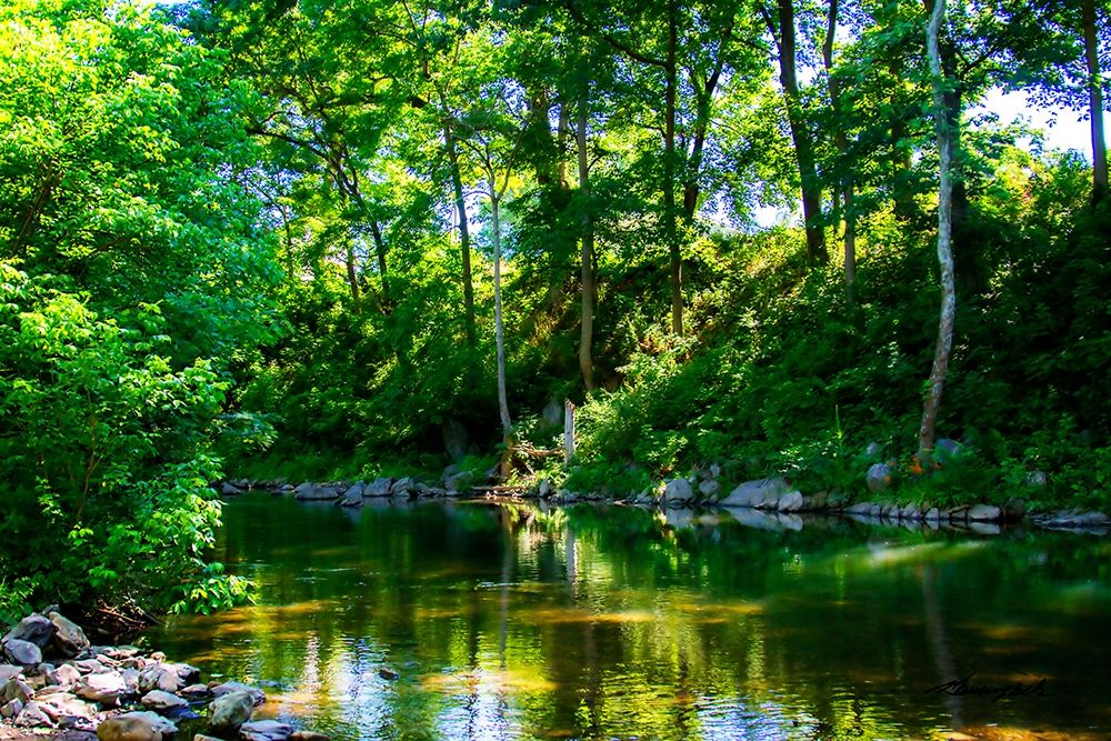 Stony Creek art print by Alan Hausenflock for $57.95 CAD