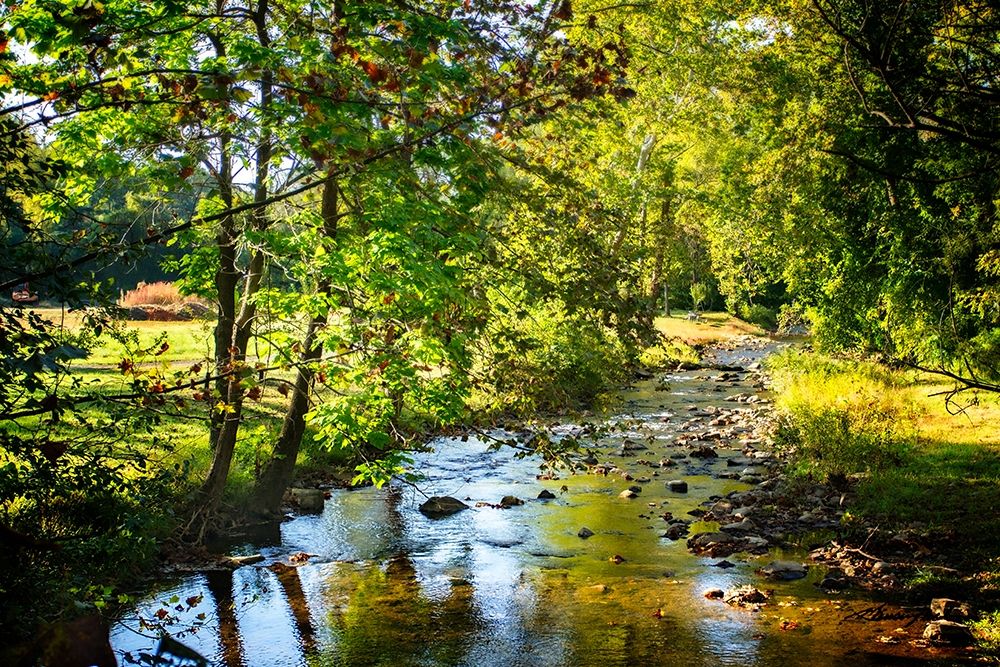 Happy Little Stream art print by Alan Hausenflock for $57.95 CAD