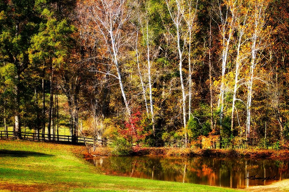 Horse Pond art print by Alan Hausenflock for $57.95 CAD