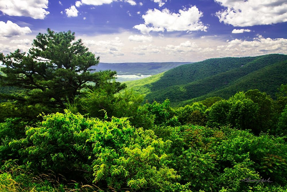 Dickey Ridge art print by Alan Hausenflock for $57.95 CAD