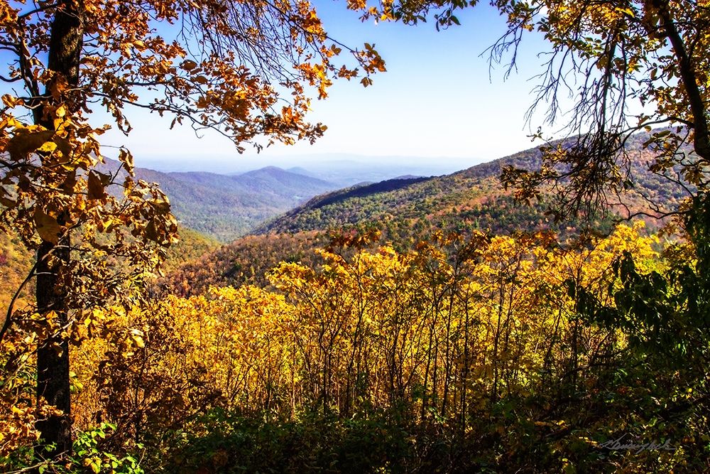Blue Ridge Autumn art print by Alan Hausenflock for $57.95 CAD