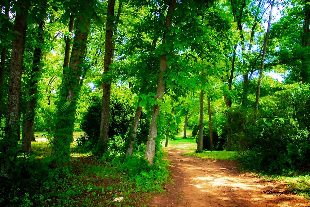 Barbourville Woods art print by Alan Hausenflock for $57.95 CAD