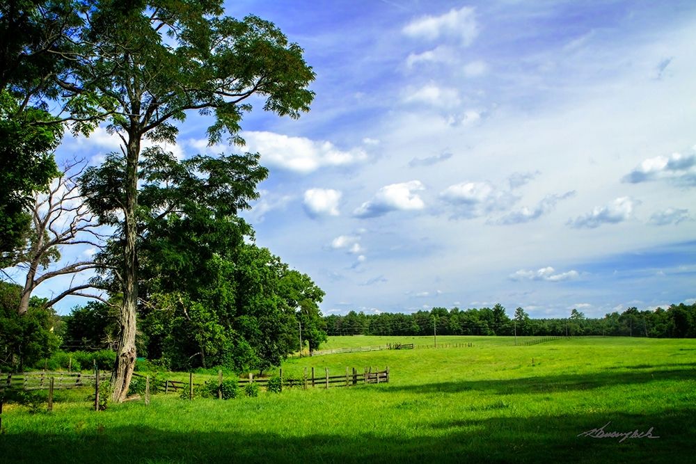 Abandoned Ranch art print by Alan Hausenflock for $57.95 CAD