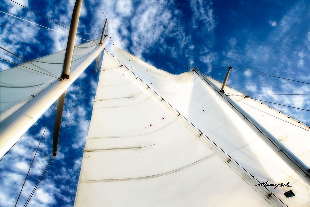 Windjammer I art print by Alan Hausenflock for $57.95 CAD