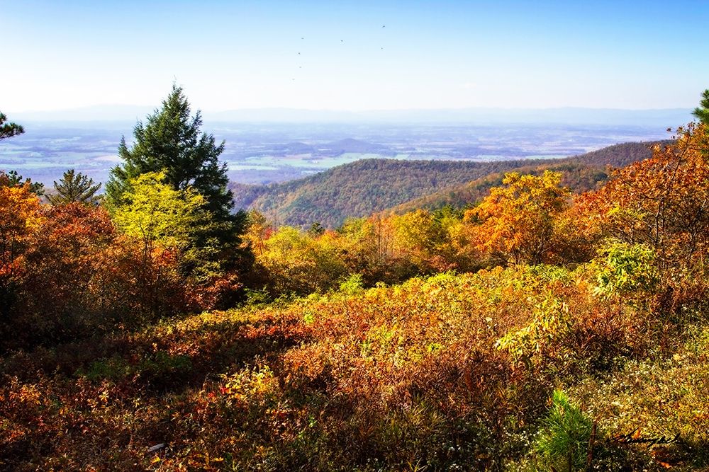 Skyline Drive 6 art print by Alan Hausenflock for $57.95 CAD