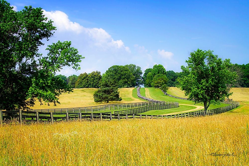 Farming Fields art print by Alan Hausenflock for $57.95 CAD