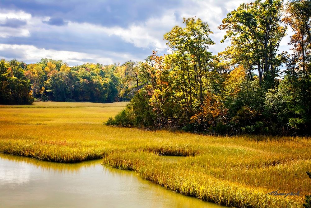 York River Delta art print by Alan Hausenflock for $57.95 CAD