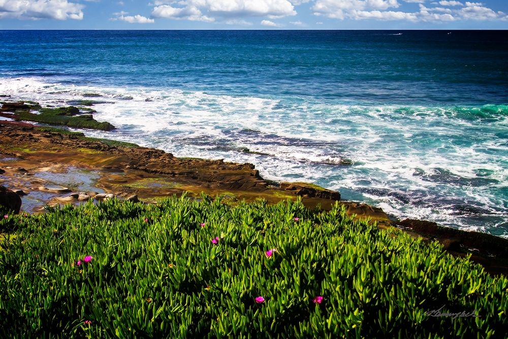 La Jolla Shore art print by Alan Hausenflock for $57.95 CAD