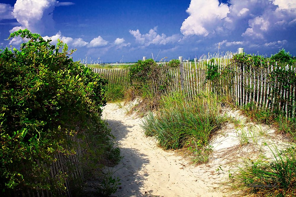 Sandy Walkway art print by Alan Hausenflock for $57.95 CAD