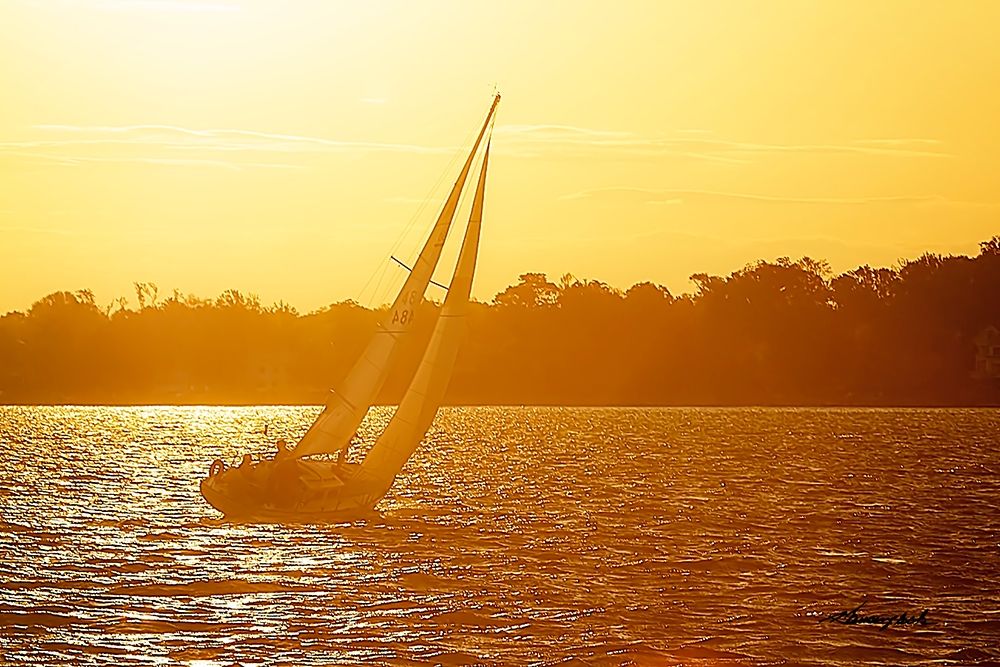 Sailing into the Gold art print by Alan Hausenflock for $57.95 CAD