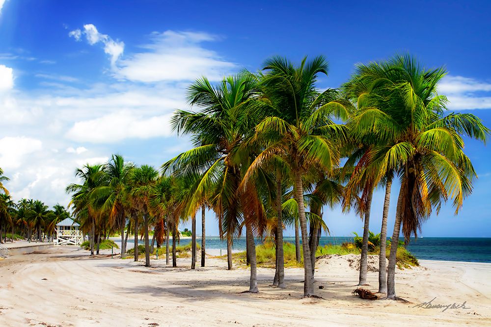 Palms on the Beach II art print by Alan Hausenflock for $57.95 CAD