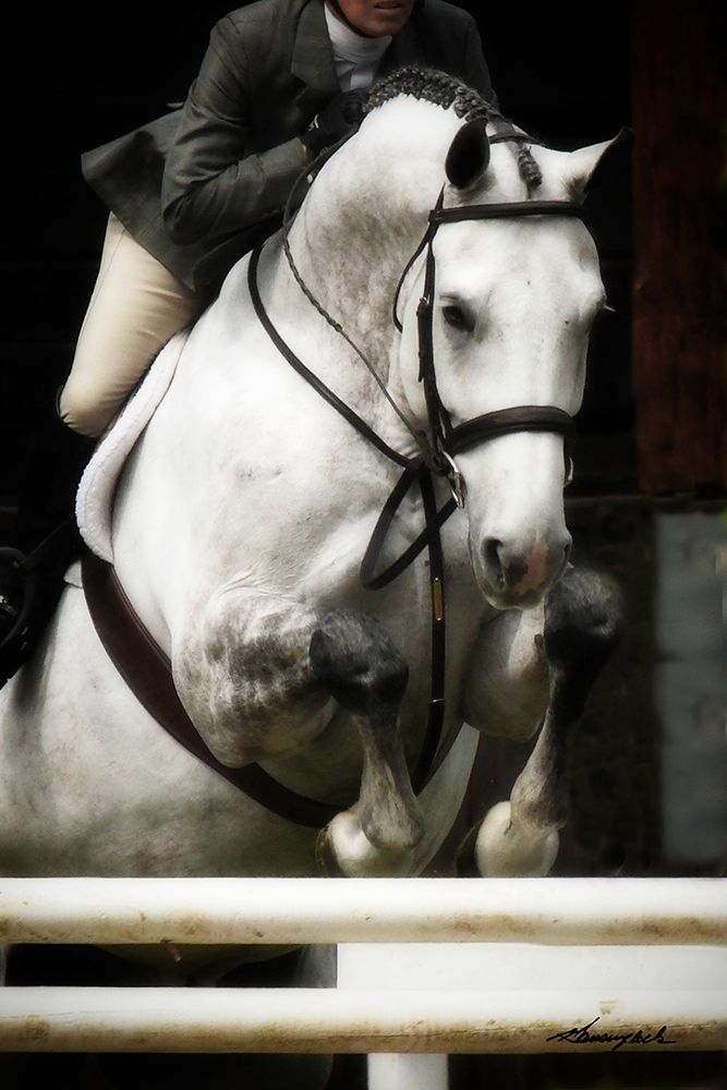 Jumping Hunter I art print by Alan Hausenflock for $57.95 CAD