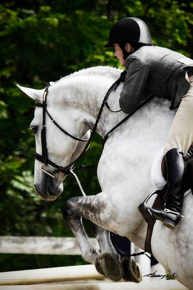Jumping Hunter II art print by Alan Hausenflock for $57.95 CAD