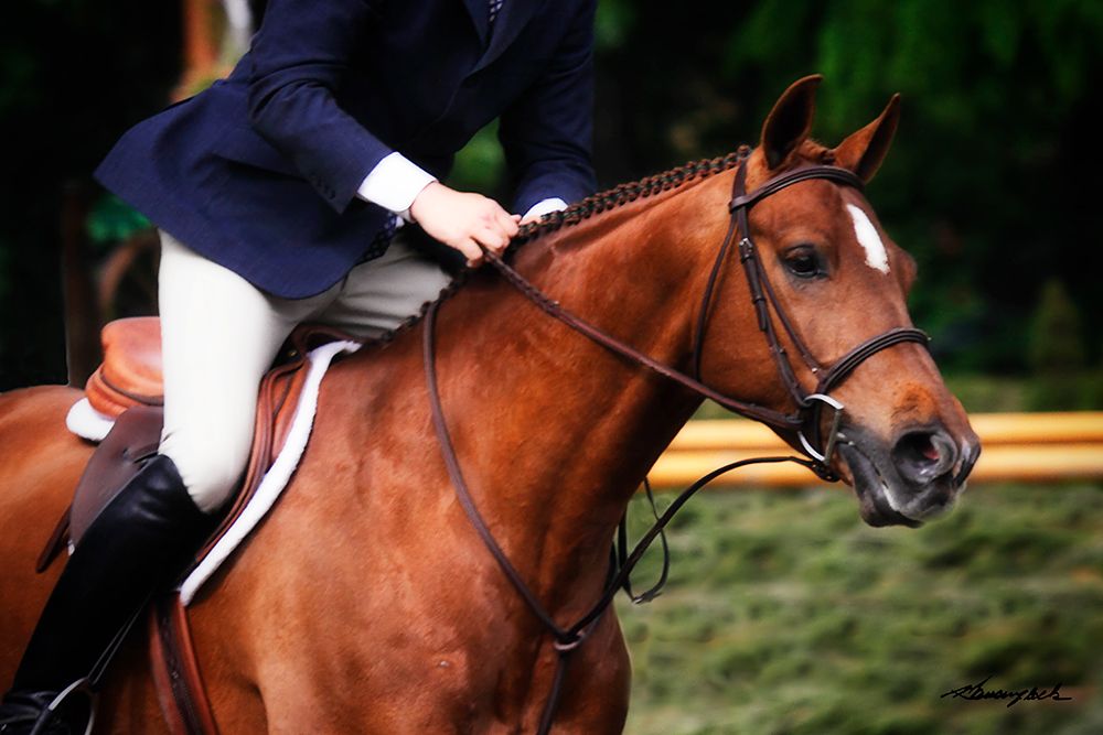 Dressage I art print by Alan Hausenflock for $57.95 CAD