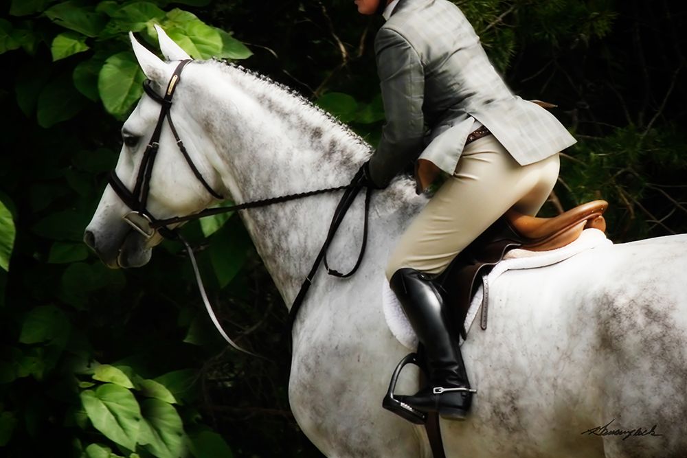 Dressage II art print by Alan Hausenflock for $57.95 CAD