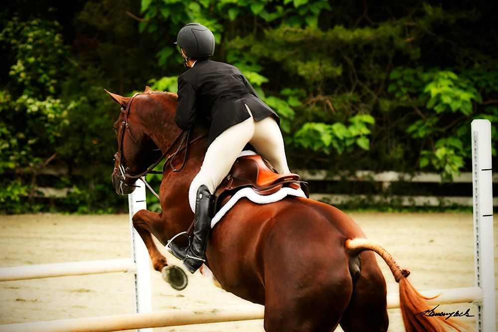 Jumping Hunter III art print by Alan Hausenflock for $57.95 CAD