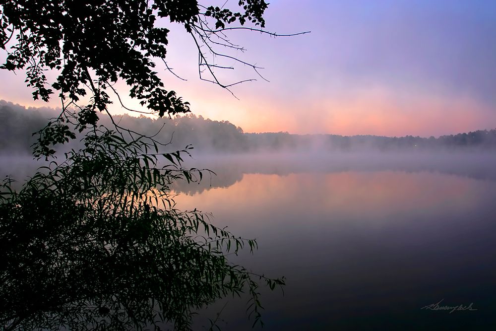 Shelley Lake Fog art print by Alan Hausenflock for $57.95 CAD