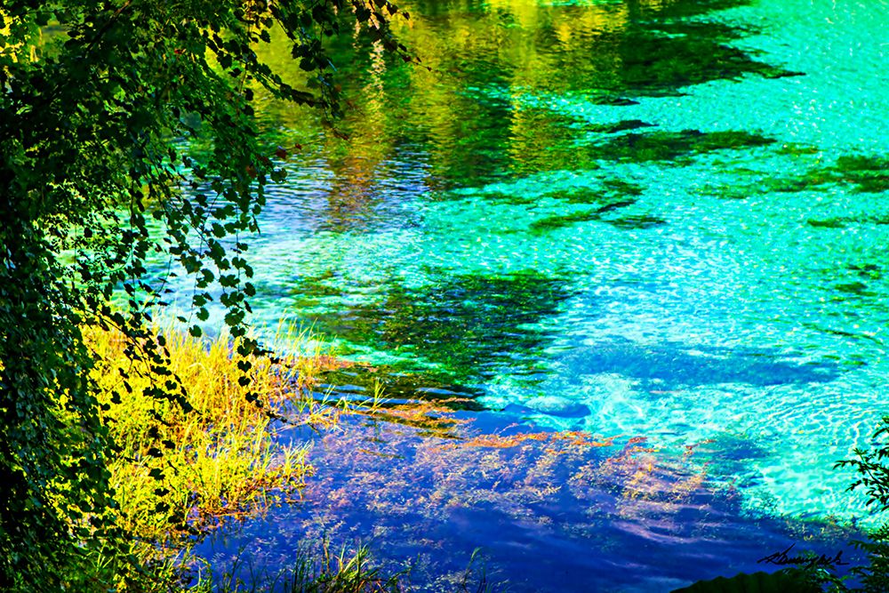 Rainbow River art print by Alan Hausenflock for $57.95 CAD