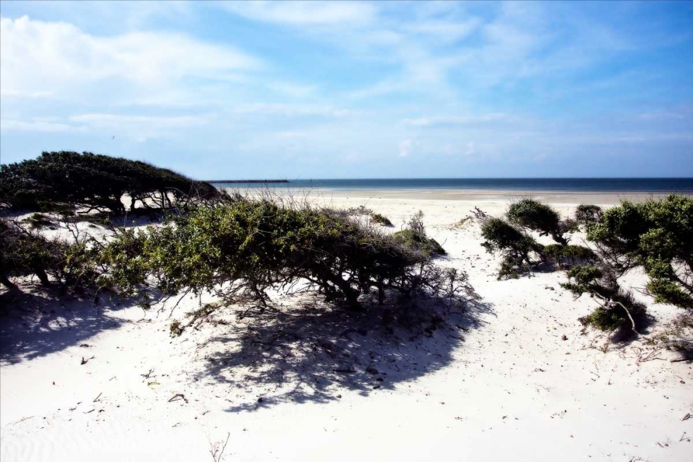Cedar Island I art print by Alan Hausenflock for $57.95 CAD