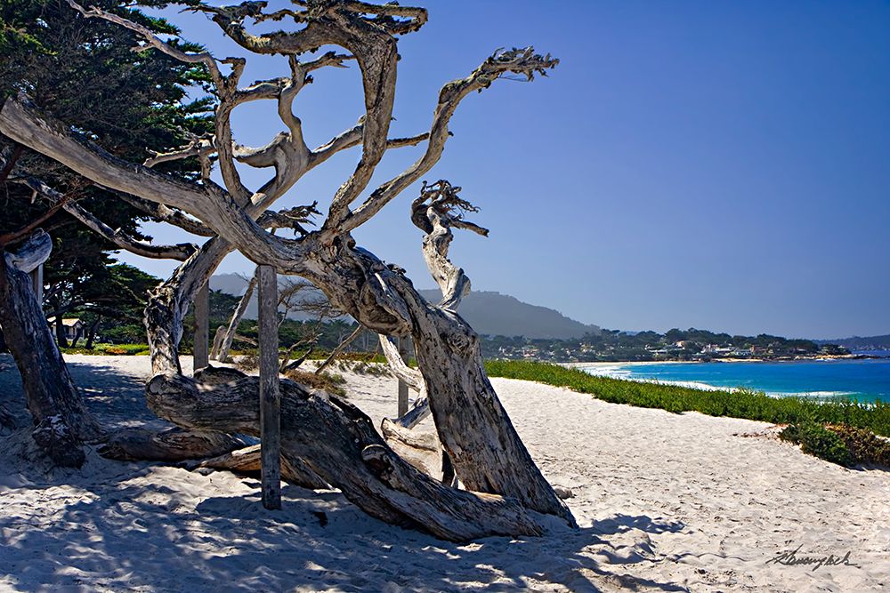 Carmel Beach art print by Alan Hausenflock for $57.95 CAD