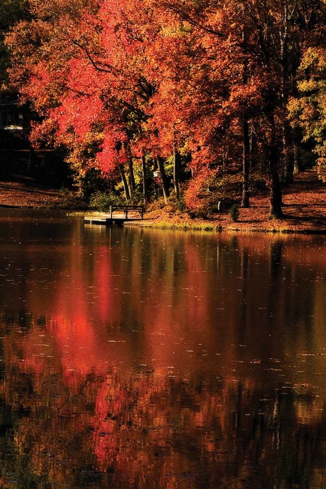 Red Reflections art print by Alan Hausenflock for $57.95 CAD