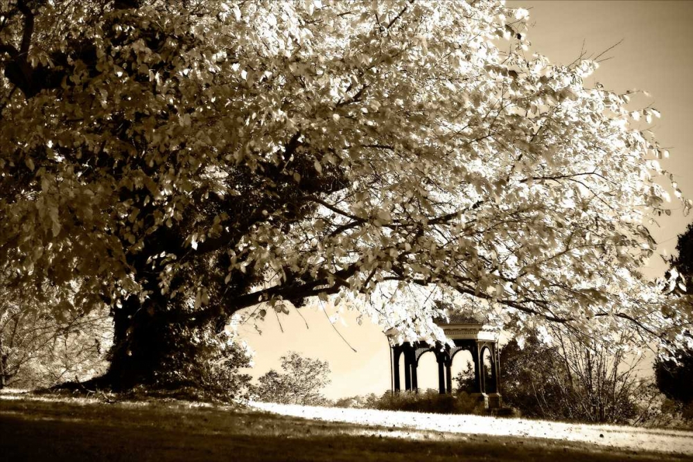 Gazebo art print by Alan Hausenflock for $57.95 CAD